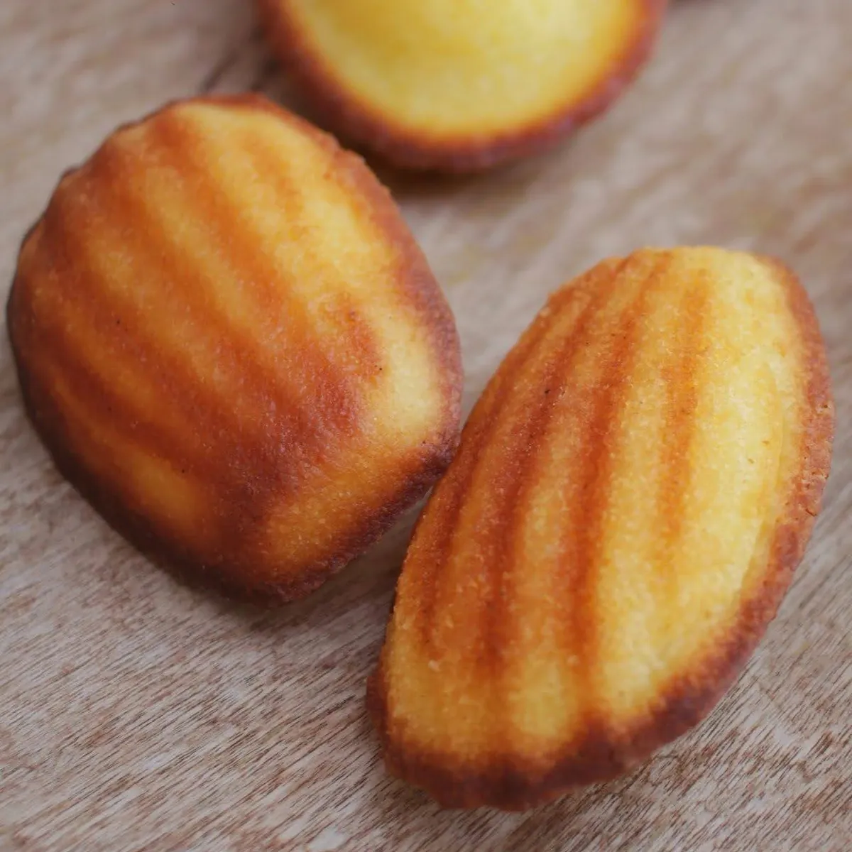 Madeleine